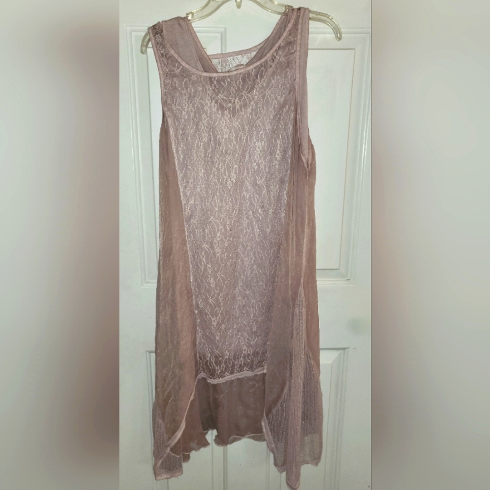 Simply Couture Rose chemise lace dress SZ 1XL